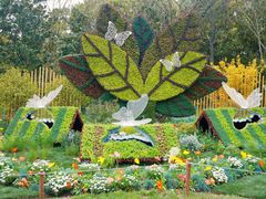 -上海共青森林公园