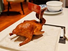 非遗红烧乳鸽-侨美食家·41年地道粤菜(珠江新城店)