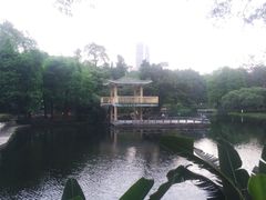 -晓港公园