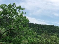 -龙寺生态园