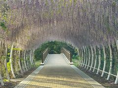 -同里国家湿地公园