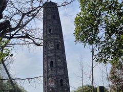 -上海佘山国家森林公园天马山园