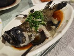 -强记海鲜·大排档(蛇口新街店)