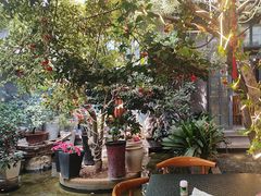 -海韵人家.海景花园经典云南菜(双廊店)
