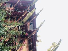 -龙潭水乡