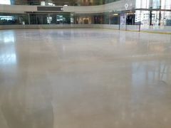 -陈露国际冰上中心(天津嘉里汇店)