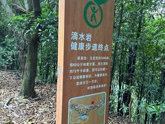-滴水岩森林公园