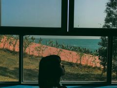 -广东惠东海龟国家级自然保护区
