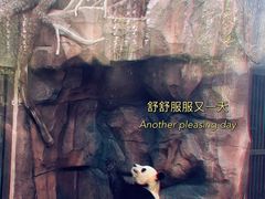 -苏州太湖国家湿地公园