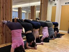 -天行健身＆天行拳馆跆拳道·格斗TXGYM