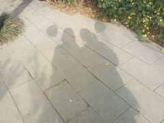-西苑公园