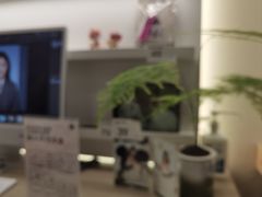 -海马体照相馆(佛山岭南站店)