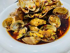 -辣四方新派川菜