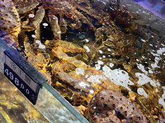 -蟹之国·精品蟹料理(极地店)