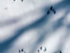 -叠溪松坪沟景区