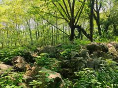 -西溪南古村落景区