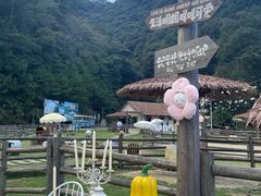 -龙岩森林水乡景区