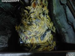 Photo-0214-绿色时代大酒店