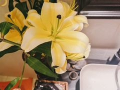 -Angkor SPA 柬埔寨古法按摩(环贸店)
