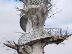-芒洲湿地公园