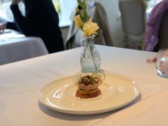 -蝶舍·MAISON PAPILLON