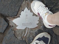 -向群锅饺(登高路店)
