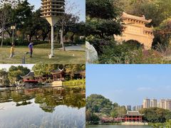 -顺峰山公园