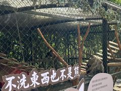 -合肥滨湖国家森林公园