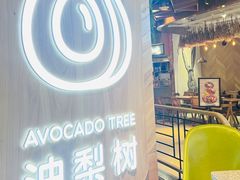 -油梨树AVOCADO TREE(嘉里中心店)