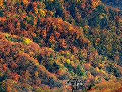 -光雾山旅游景区