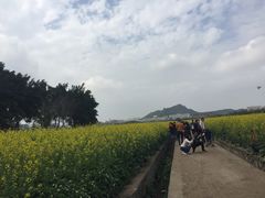 -光明小镇欢乐田园