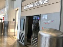 -谢列梅捷沃国际机场
