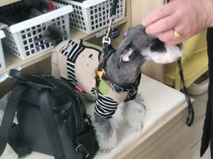 -宠福鑫康馨动物医院·骨科·眼科