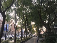 -上海市中医医院(石门路院区)