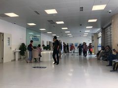 -上海市东方医院(总院)
