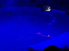 -芜湖新华联大白鲸海洋公园