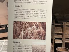 -余姚博物馆