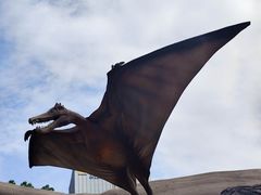 -陕西自然博物馆