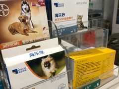-诺比宠物医院心脏内科·泌尿肾内外科·骨科急重症