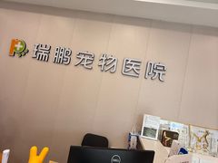-瑞鹏宠物医院·骨科·猫科·内科(第一中心)