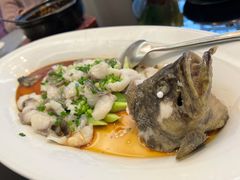 -碧丽宫大酒店(召稼楼店)