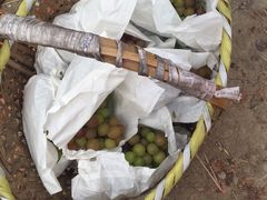 -马陆小张葡萄园农家乐