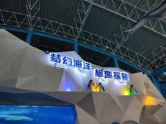 -泉城欧乐堡海洋极地世界