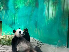 -杭州野生动物世界