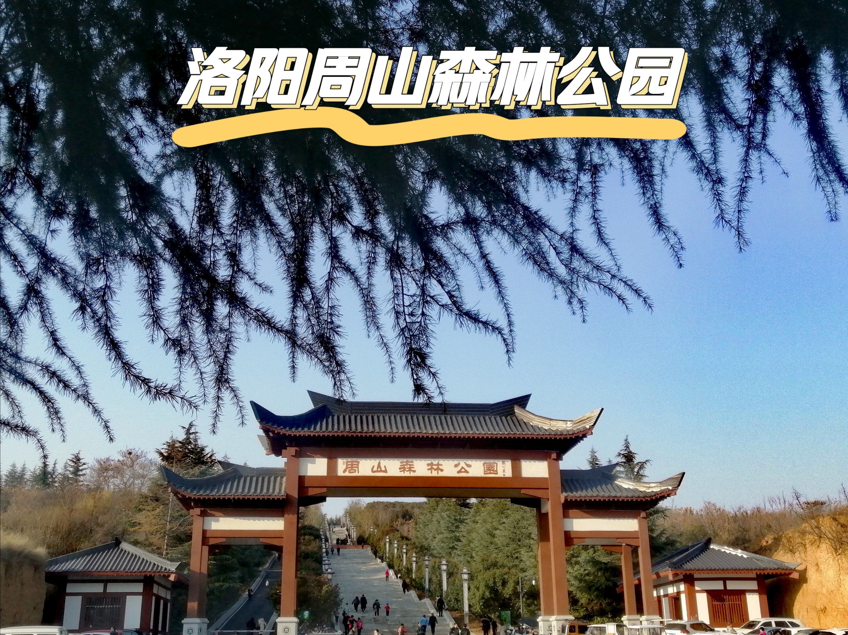 洛阳周山森林公园