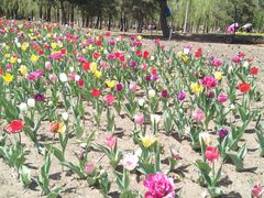 -长春公园(普阳街道)