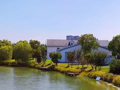 -上海长兴岛郊野公园