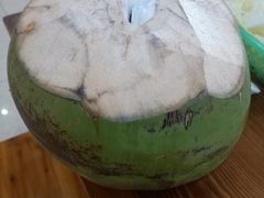 -16年老字号鑫鑫猪肚鸡·椰子鸡海南火锅(兴隆华侨农场店)