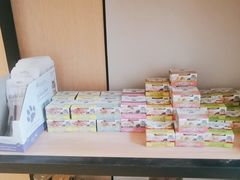 -Pets First伊珊娜洗护·精致美容·家庭式寄养(新会路店)