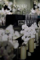 点击看大图 -琥珀婚礼策划AMBER WEDDING